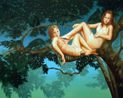 Secret Life of the Forest series (After Dark)