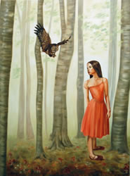 Secret Life of the Forest Catalog