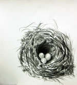 Nest